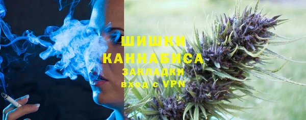 шишки Нягань